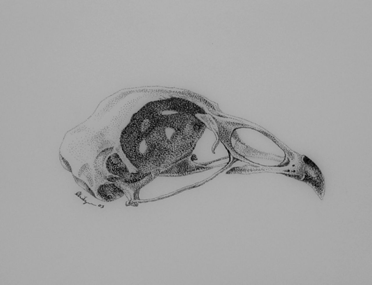 pen