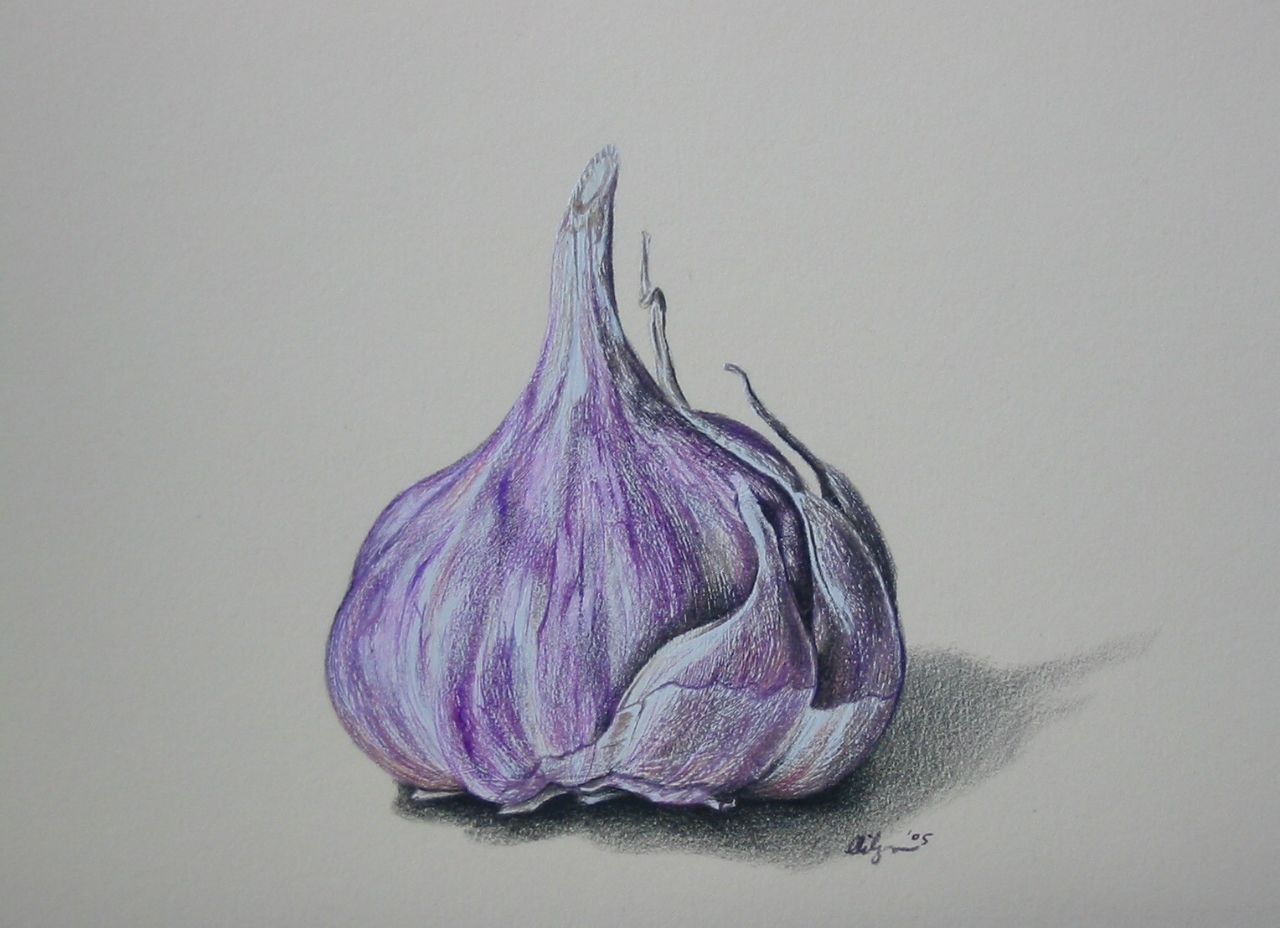 colored pencil